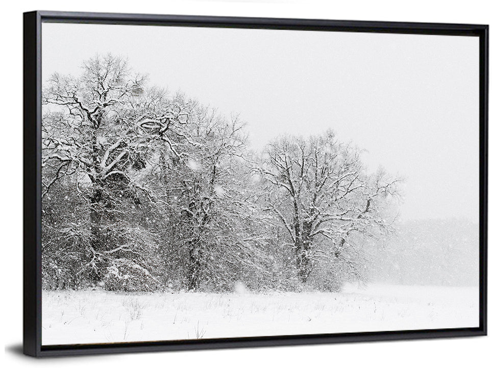 Foggy Winter Trees Wall Art