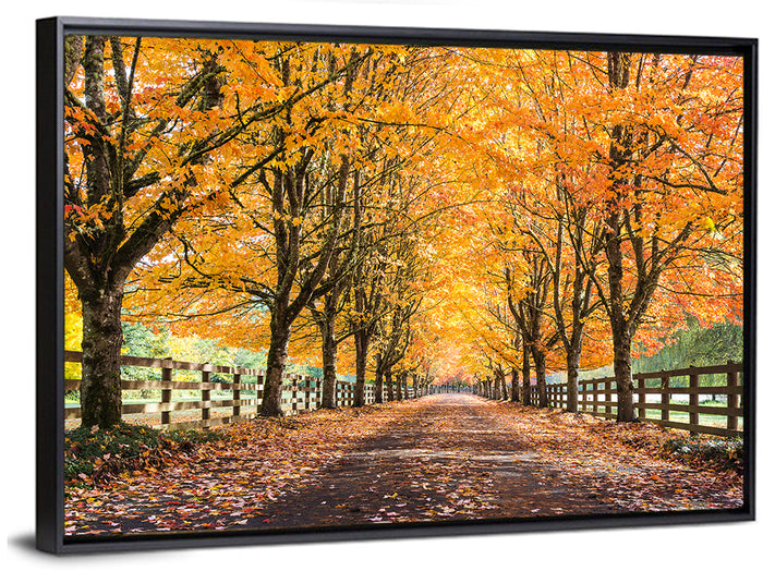 Maple Lane in Autumn Wall Art as a framed canvas