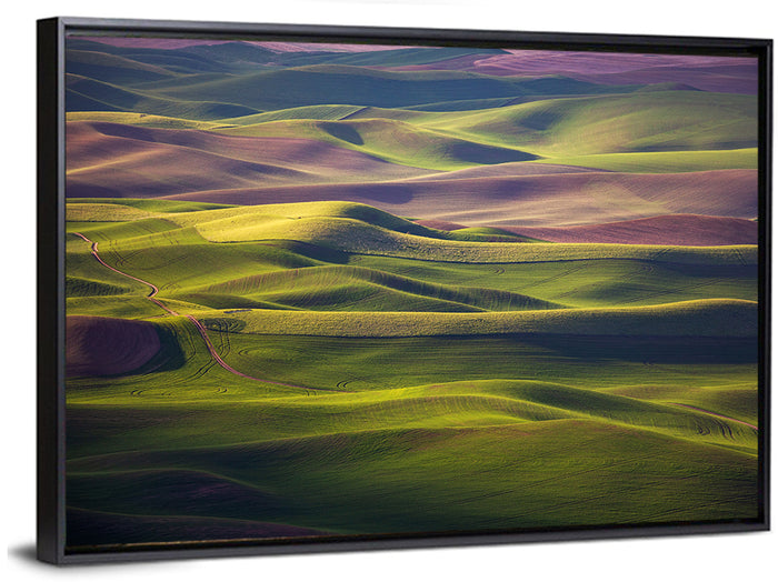 Palouse Farmland at Golden Hour Wall Art as a framed canvas