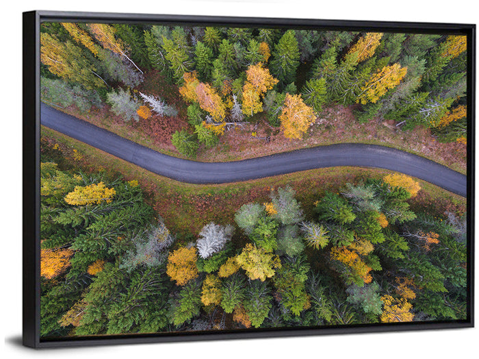 Aerial Autumn Forest Road Wall Art as a framed canvas