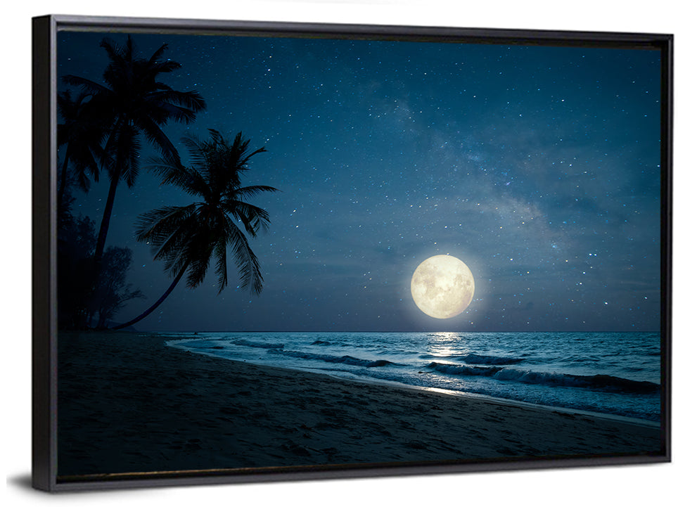 Palm Beach Moonset Wall Art
