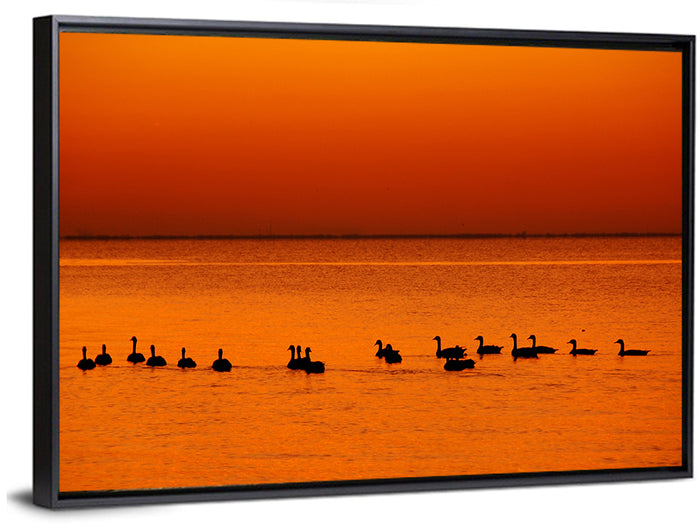 Geese Silhouettes at Orange Sunset Wall Art as a framed canvas