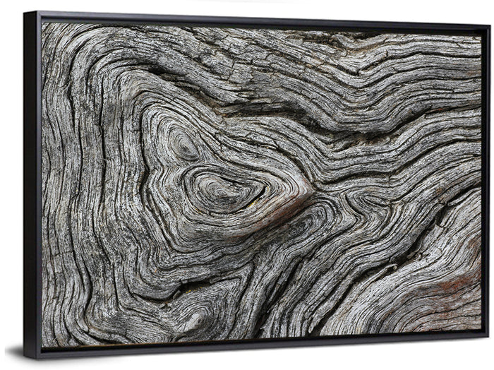 Tree Growth Rings Wall Art as a framed canvas