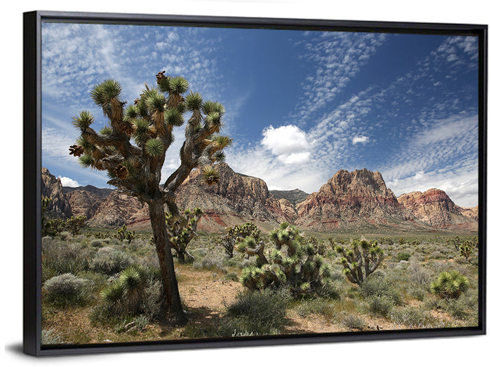 Joshua Tree at Red Rock Canyon Wall Art as a framed canvas