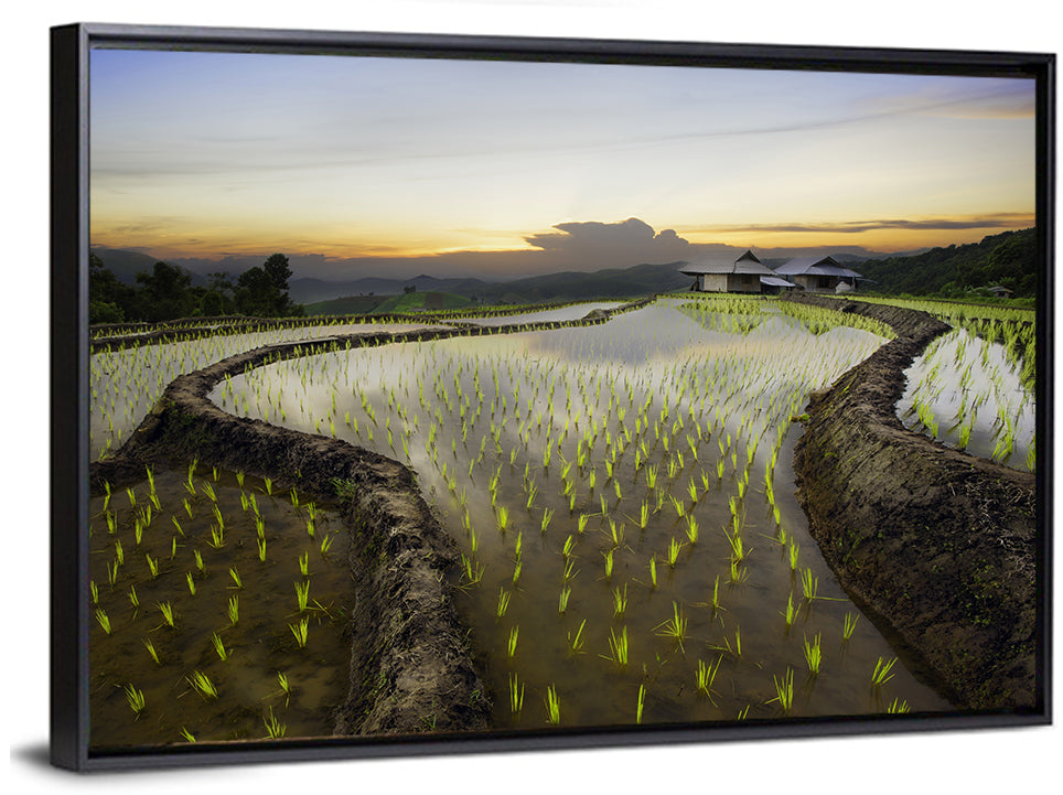 Pa Pong Peang Rice Terrace Wall Art