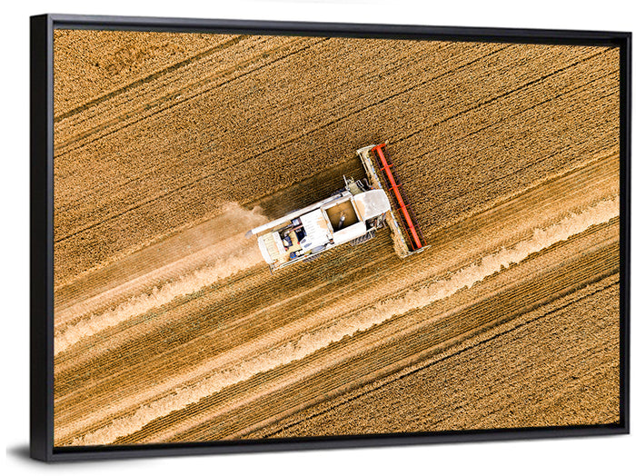 Aerial Combine Over Wheat Field Wall Art as a framed canvas