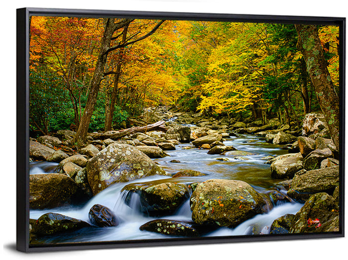 Autumn Stream Through Forest Wall Art as a framed canvas