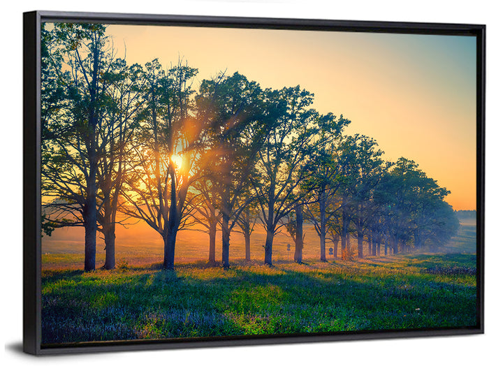 Oak Alley Golden Hour Wall Art as a framed canvas