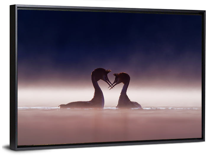 Crested Grebes in Morning Mist Wall Art as a framed canvas