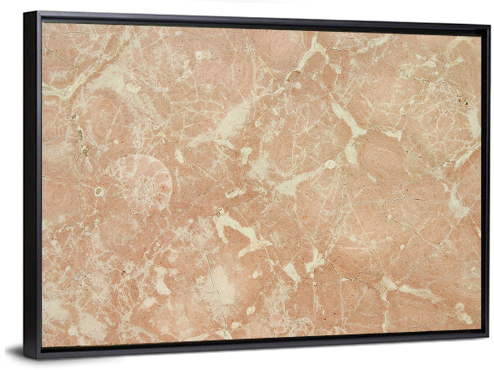 Fossil Veins Marble Study Wall Art as a framed canvas
