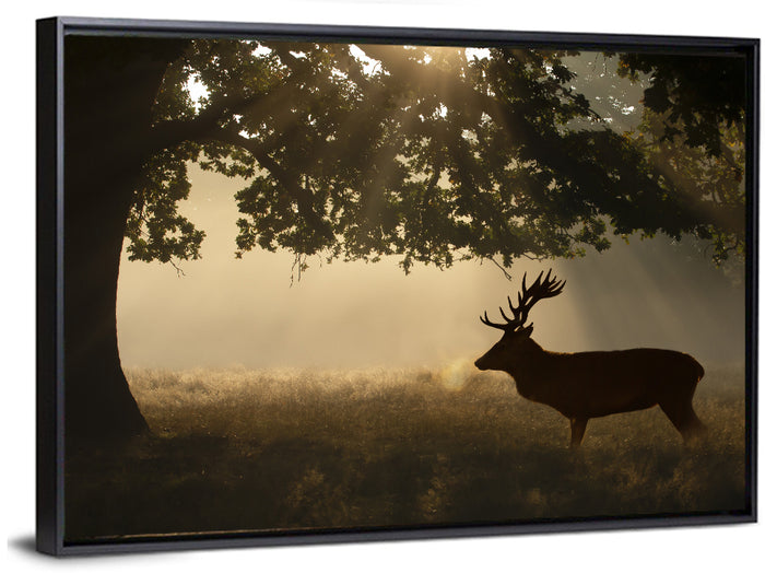 Misty Stag Silhouette Wall Art as a framed canvas