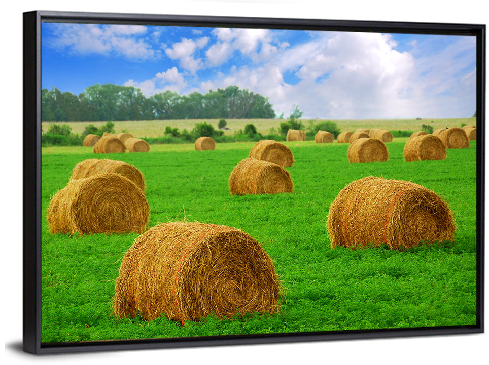 Hay Bales Wall Art