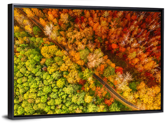 Winding Road Through Autumn Forest Wall Art as a framed canvas