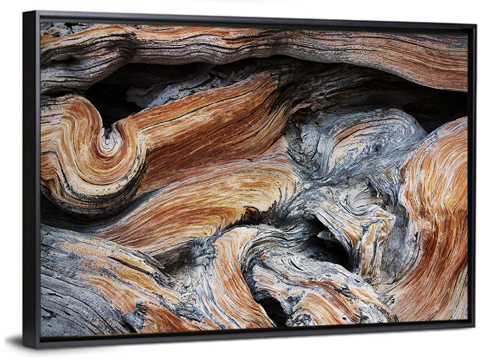 Juniper Wood Texture Wall Art
