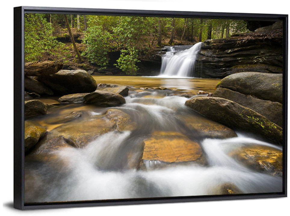 South Carolina Waterfall Wall Art