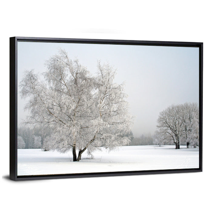 Frosted Birch Grove Wall Art as a framed canvas