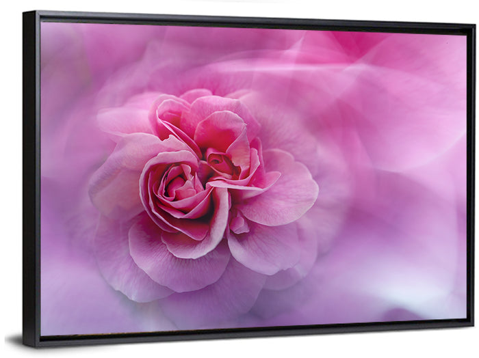 Ethereal Pink Rose Bloom Wall Art as a framed canvas