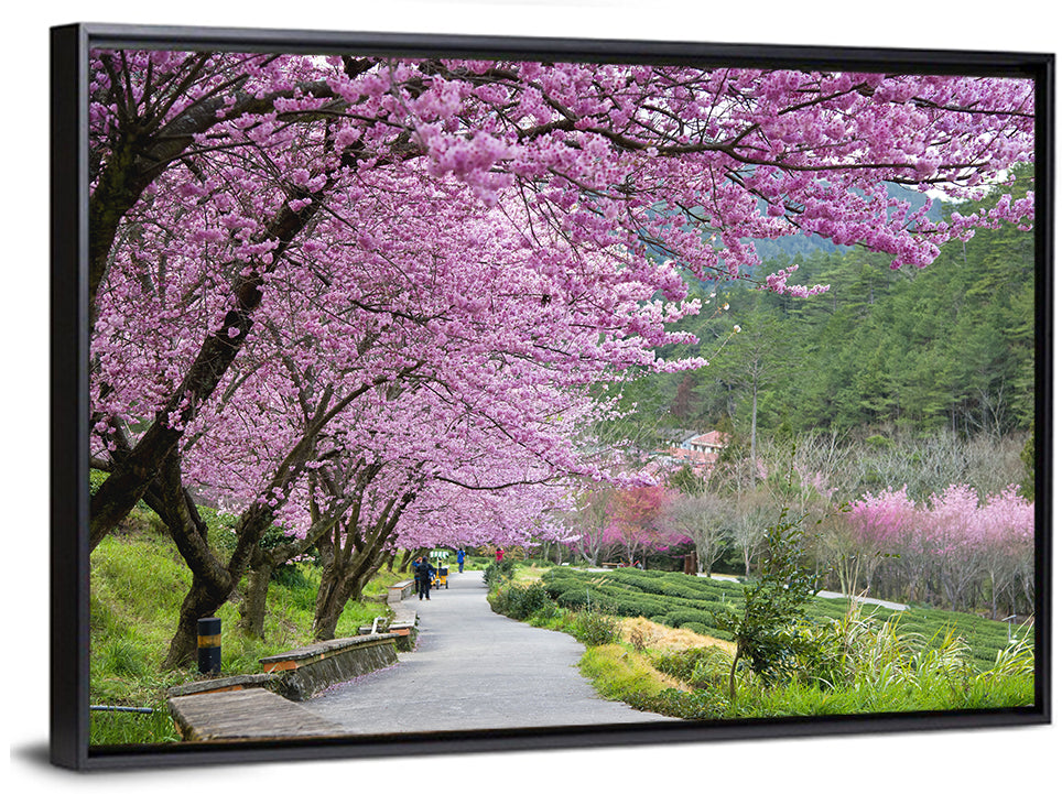 Sakura Garden Taiwan Wall Art