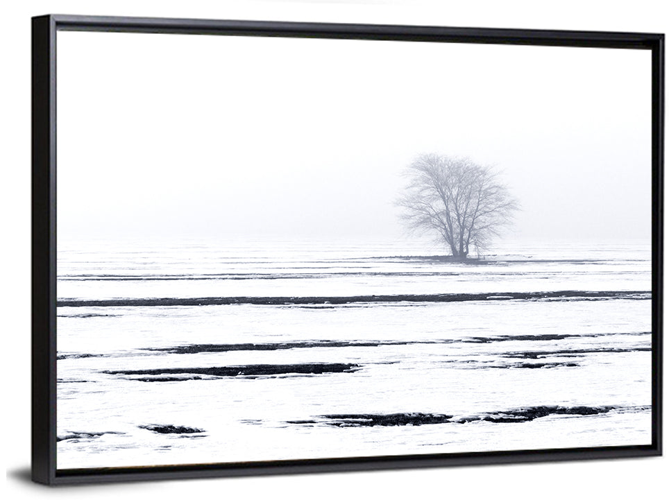 Winter Landscape Wall Art