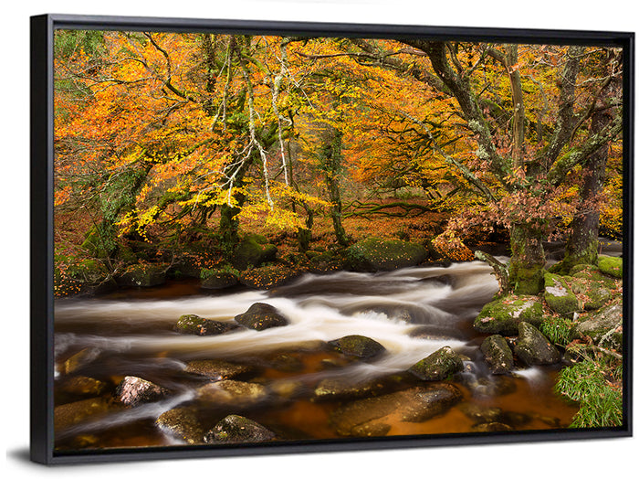 Dartmoor Autumn River in Golden Forest Wall Art as a framed canvas