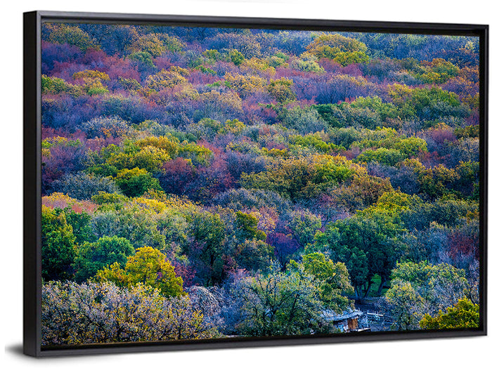 Autumn Canopy Forest with Cabin Roof Wall Art as a framed canvas