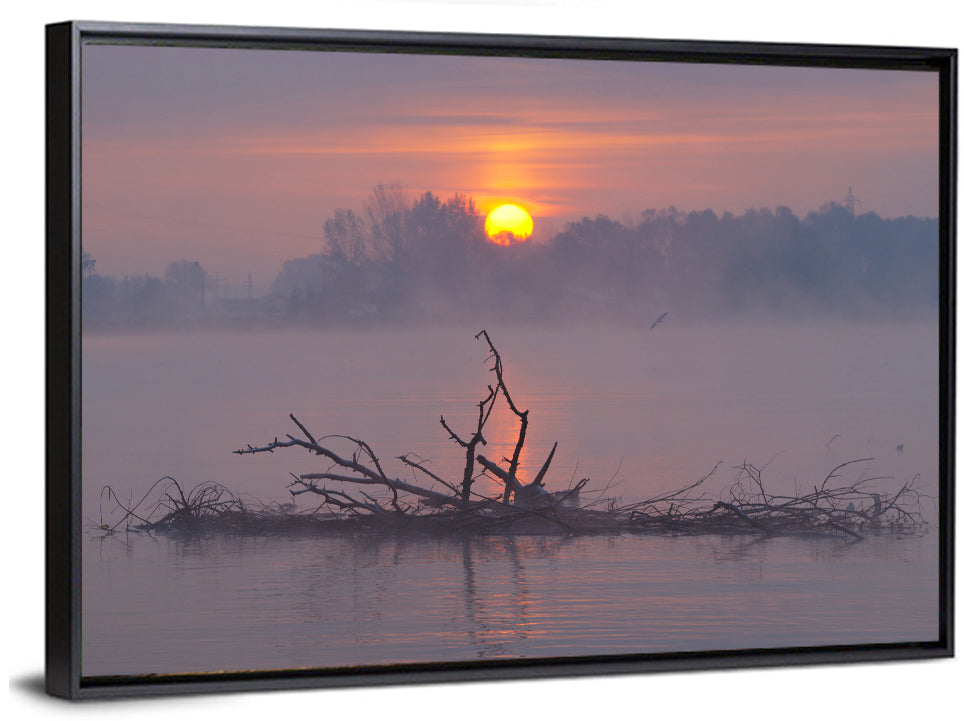 Misty Lake Sunrise Wall Art