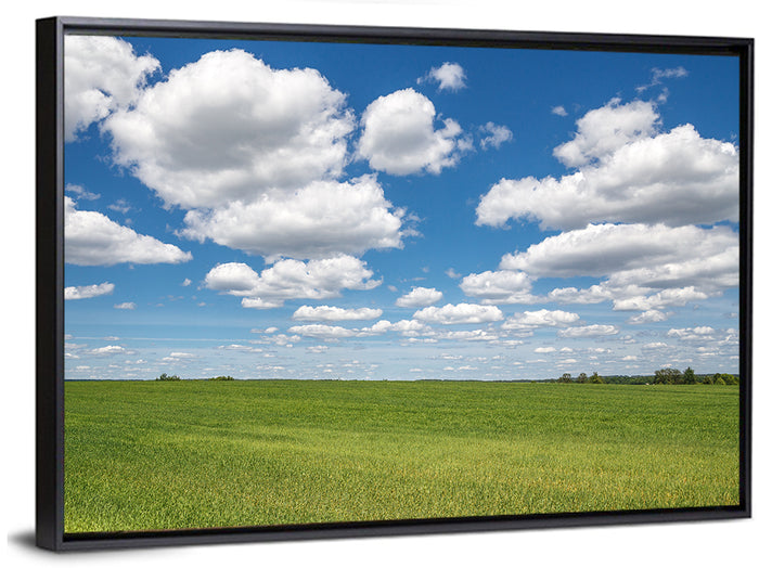 Cloud Filled Sky Over Meadow Wall Art as a framed canvas