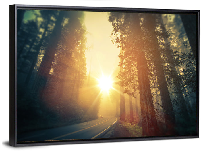 Misty Redwood Road with Golden Sunburst Wall Art as a framed canvas