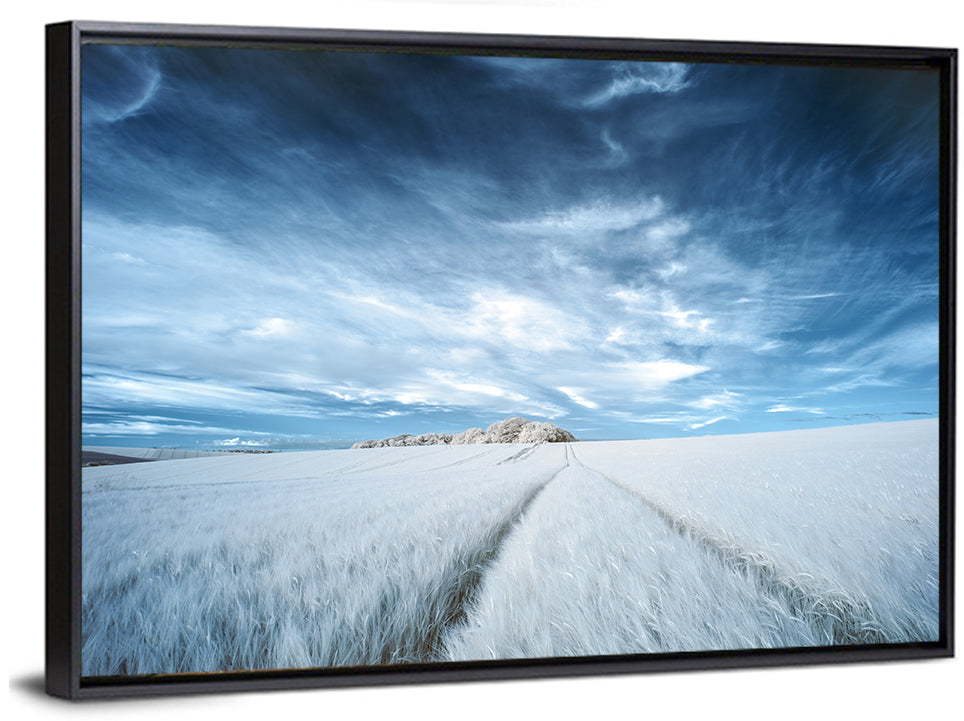 Surreal Agricultural Fields Wall Art
