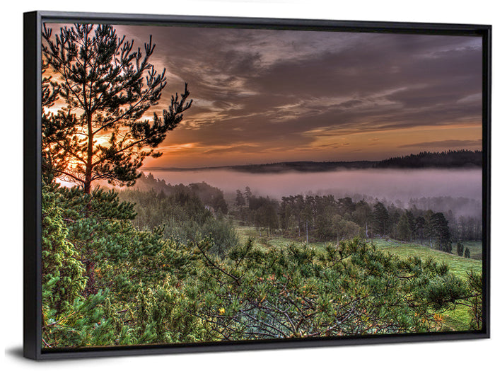 Misty Swedish Pine Valley Wall Art as a framed canvas