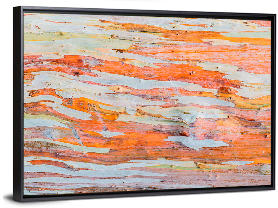 Eucalyptus Tree Abstract Wall Art