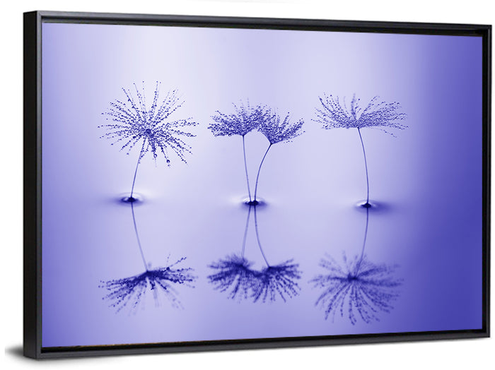 Blue Dandelion Seeds with Reflections Wall Art as a framed canvas