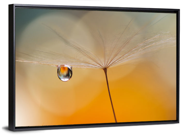 Dandelion Seed with Droplet Wall Art as a framed canvas