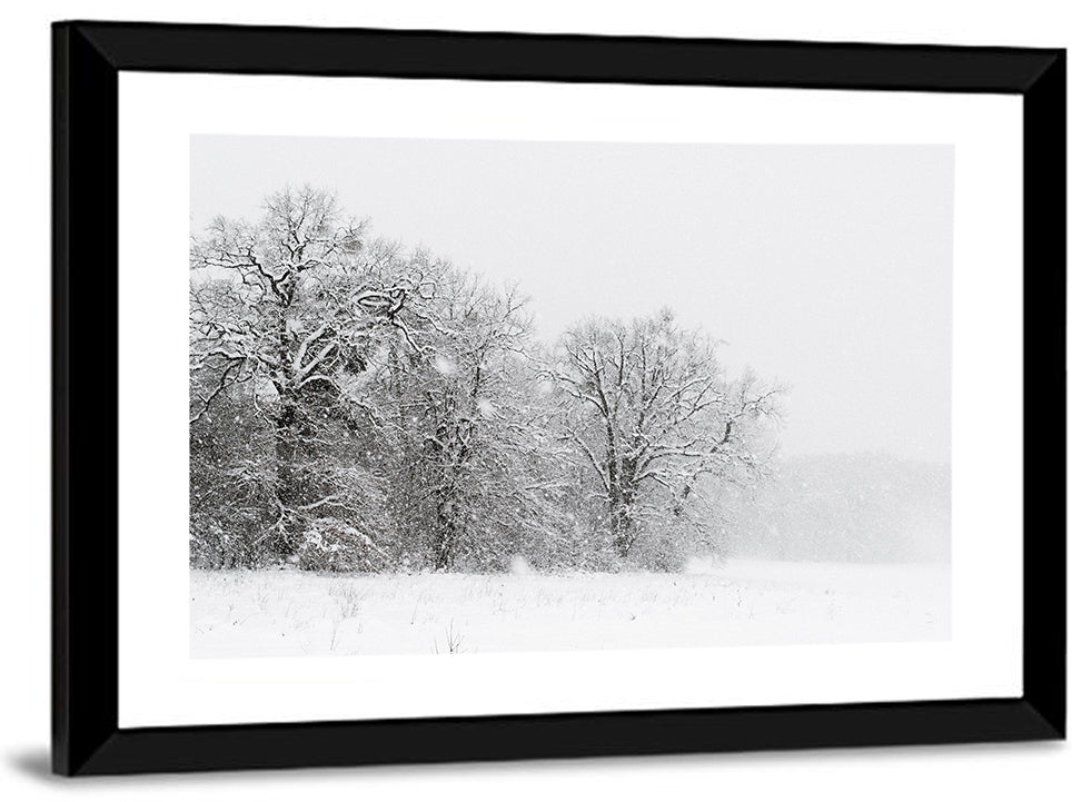 Foggy Winter Trees Wall Art