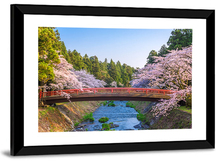 Arched Red Bridge with Cherry Blossoms Wall Art as a framed print