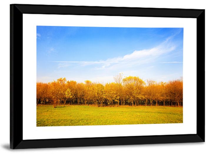 Autumn Forest Meadow Wall Art as a framed print