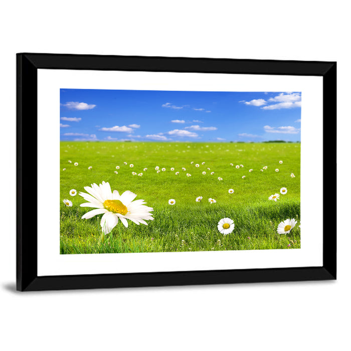Spring Daisy Meadow Wall Art as a framed print