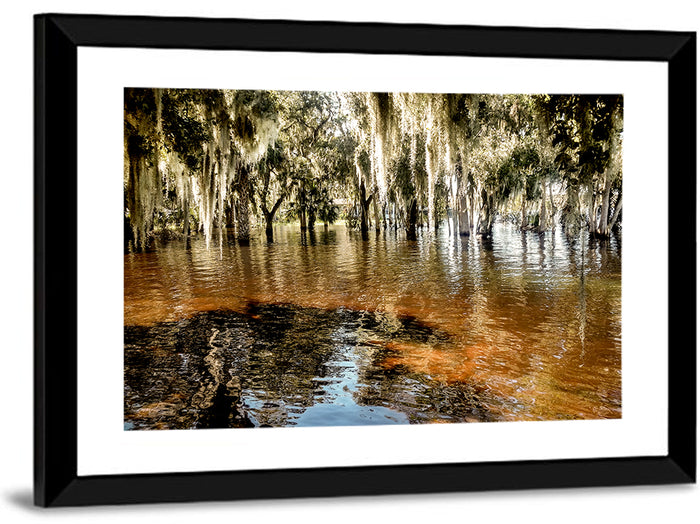 Spanish Moss Swamp at Lake Jesup Wall Art as a framed print
