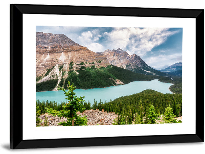 Peyto Lake Scenic View Wall Art as a framed print
