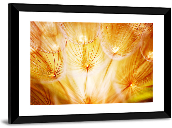 Golden Hour Dandelion Seed Macro Abstract Wall Art as a framed print