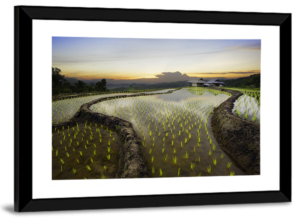 Pa Pong Peang Rice Terrace Wall Art