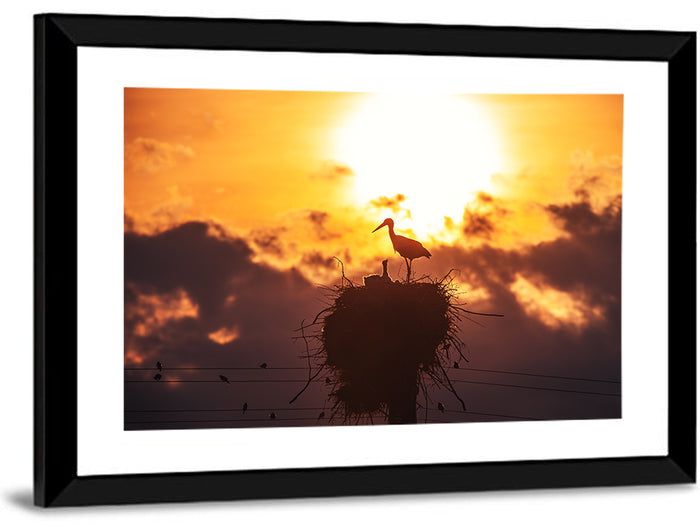 Stork Nest at Sunset Wall Art as a framed print