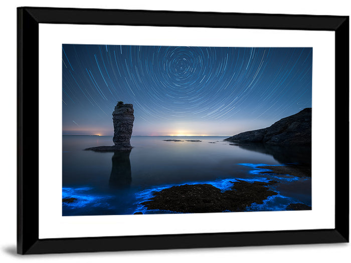 Fluorescent Sea Reef Wall Art as a framed print