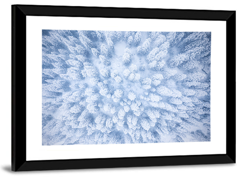 Winter Forest Wall Art