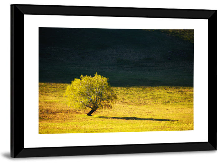 Lone Tree in Golden Meadow Wall Art as a framed print
