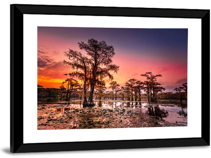 Caddo Lake Cypress Sunset Wall Art as a framed print