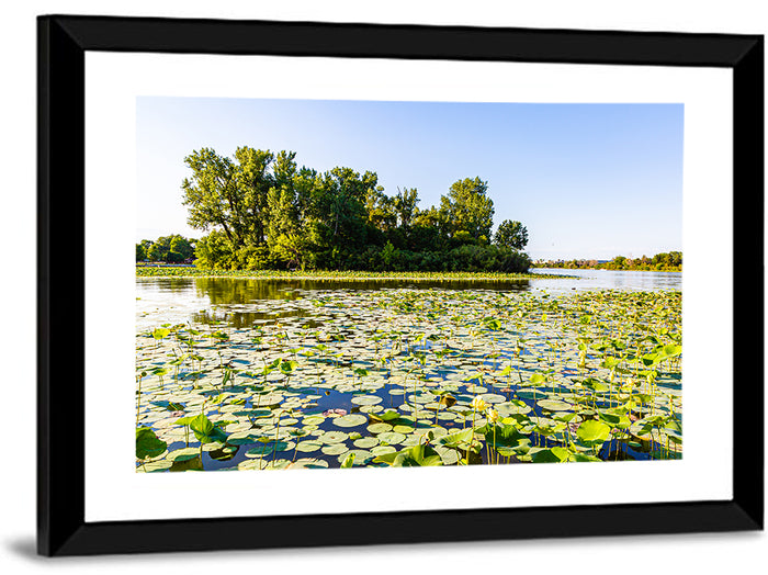 Carter Lake Lily Pads Wall Art as a framed print