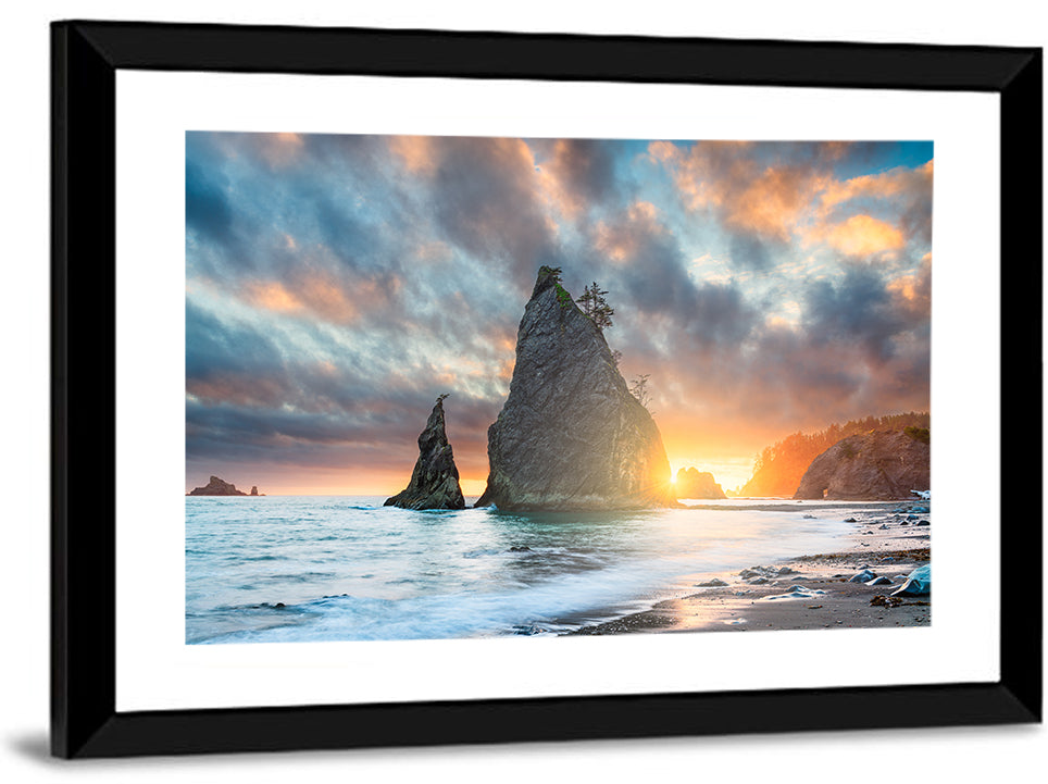 Olympic National Park Beach Wall Art