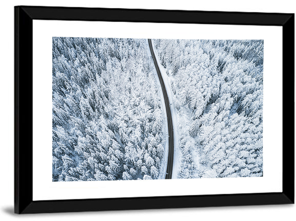 Winter Forest Road Aerial Wall Art