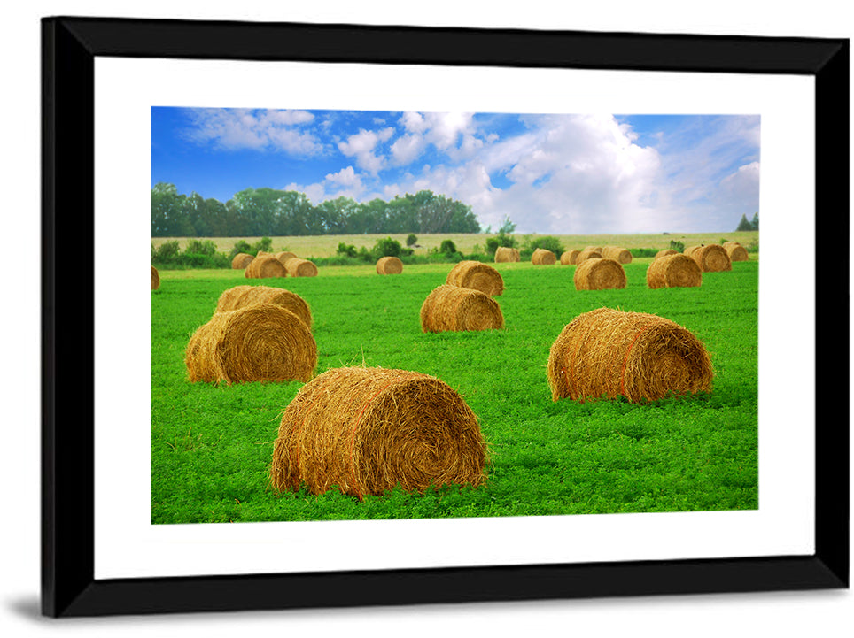 Hay Bales Wall Art